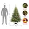 6ft. Pre-Lit Kincaid Spruce Full Artificial Christmas Tree, Clear Lights